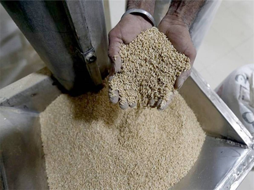 الديار _ من المخازن الى المائدة: مَن حاول إعادة إحياء شحنة القمح الفاسد لعام 2022؟