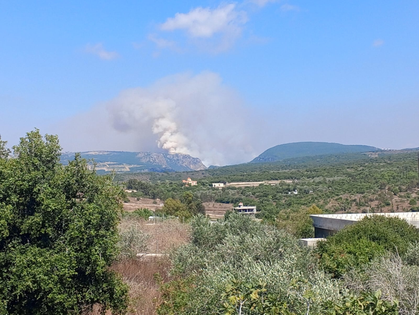 حريقان في ميس الجبل وخلف بلدية العديسة جراء القصف المعادي