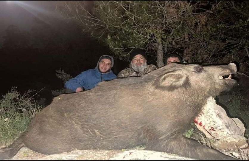 بالصورة: إصطياد خنزير ضخم في بلدة عاصون-الصنية 