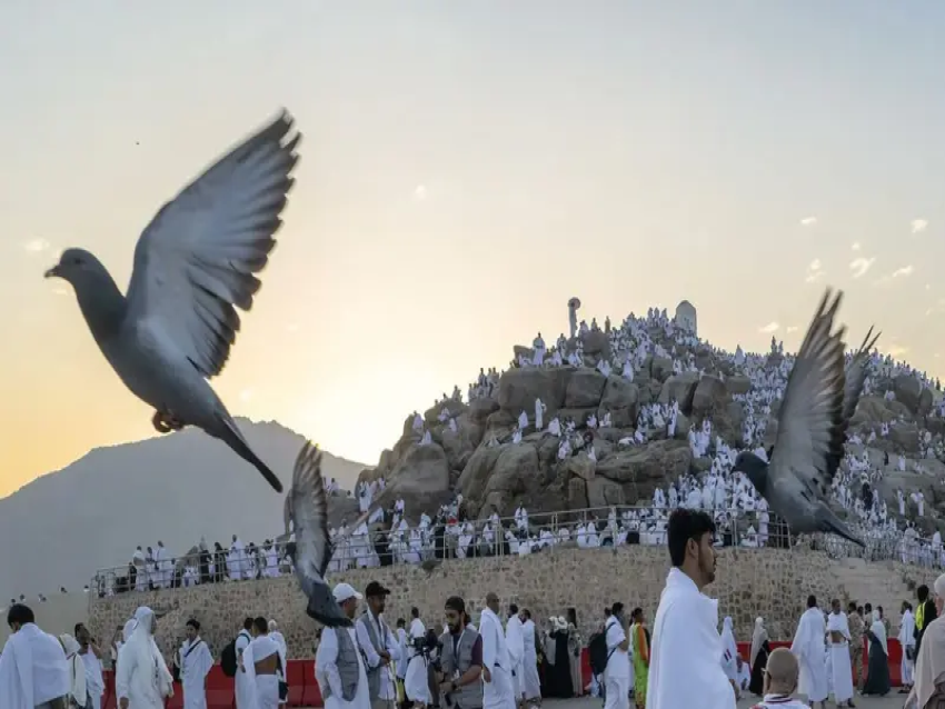 بالفيديو ... أكثر من 1.5 مليون حاج يفدون إلى عرفات لأداء ركن الحج الأعظم