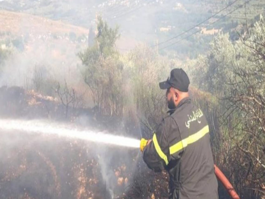 شهيدان للدفاع المدني بغارة صهيونية على حانين