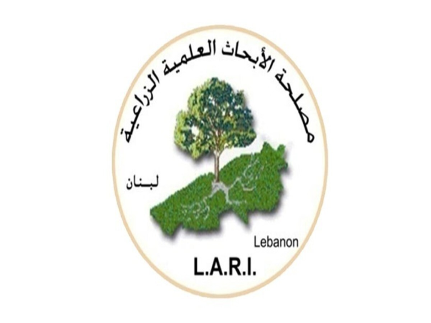مصلحة الأبحاث العملية الزراعية: لا زلازل محتملة في لبنان