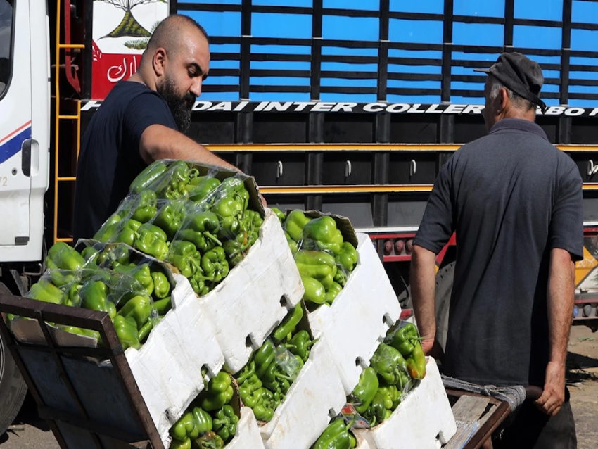 الأخبار _ الأسعار تأكل التصحيح النسبي في الأجور