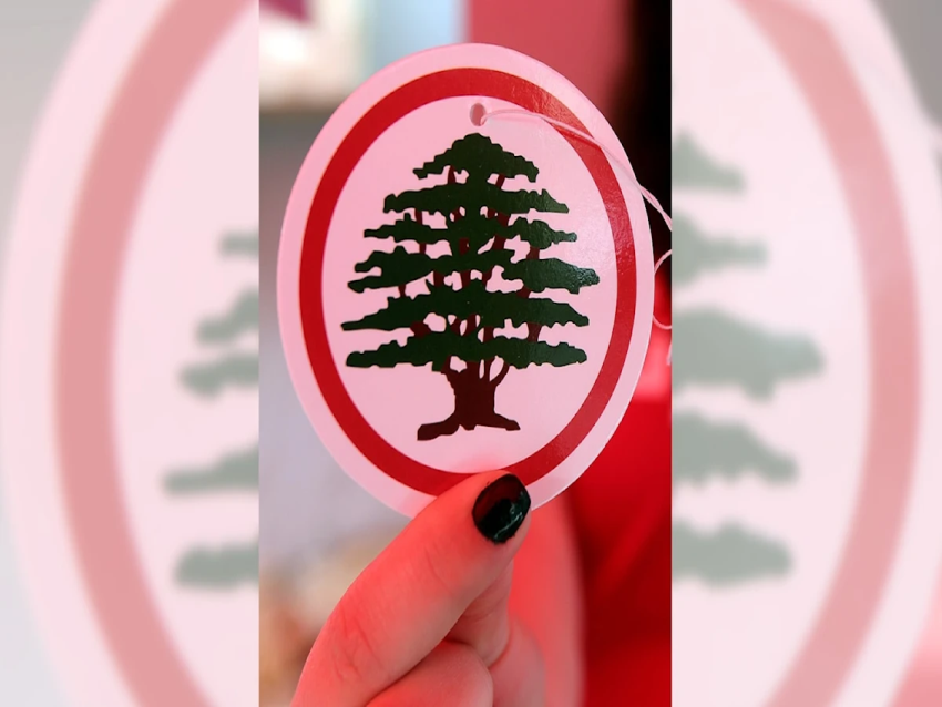 الأخبار _ حلاوي لا يُوقف نقيب خبراء المحاسبة: هل تدخّلت «القوات اللبنانية» لحمايته؟