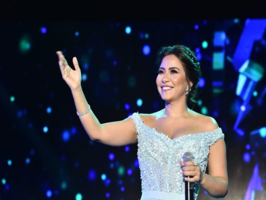 شيرين عبد الوهاب تشيد بحفل فضل شاكر: «حاجة تانية خالص»