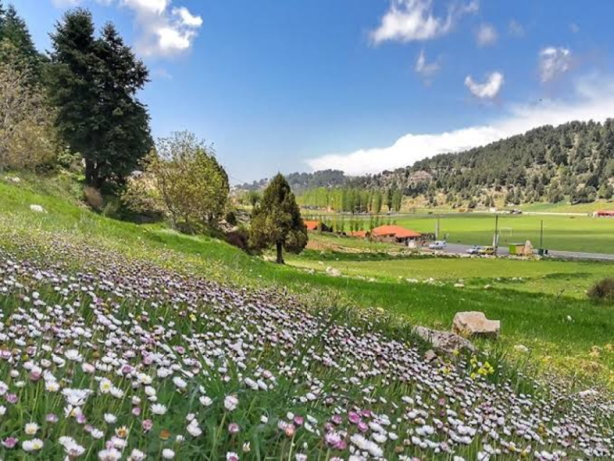 طقس ربيعي معتاد ورطب قليلاً مازال يؤثر على لبنان