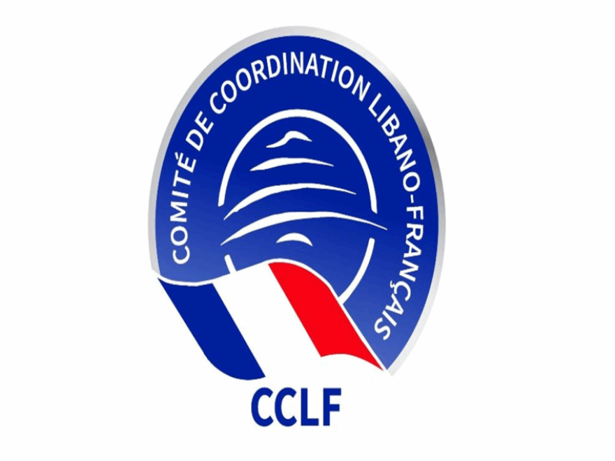 في رسالة الى الرئيسين عون وسلام ... لجنة التنسيق اللبنانية - الفرنسية: لخفض أسعار تذاكر الـ MEA