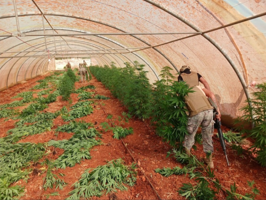 الجيش ينفذ عمليات دهم في بلدة بوداي – بعلبك ويضبط أسلحة وذخائر حربية ويتلف 16 خيمة مزروعة بالماريجوانا