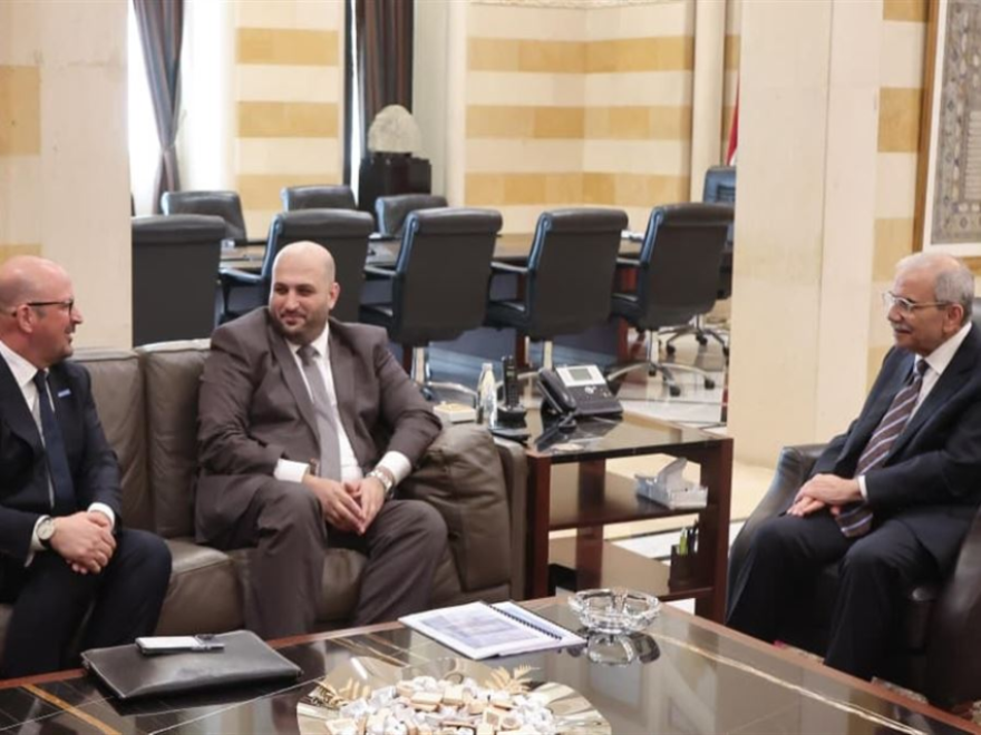 سلام بحث مع ممثل الصحة العالمية واقع القطاع الصحي في لبنان