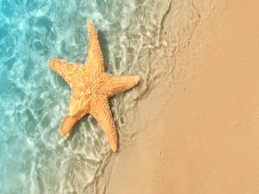 طقس حارّ ... واستقرار نسبي بدرجات الحرارة