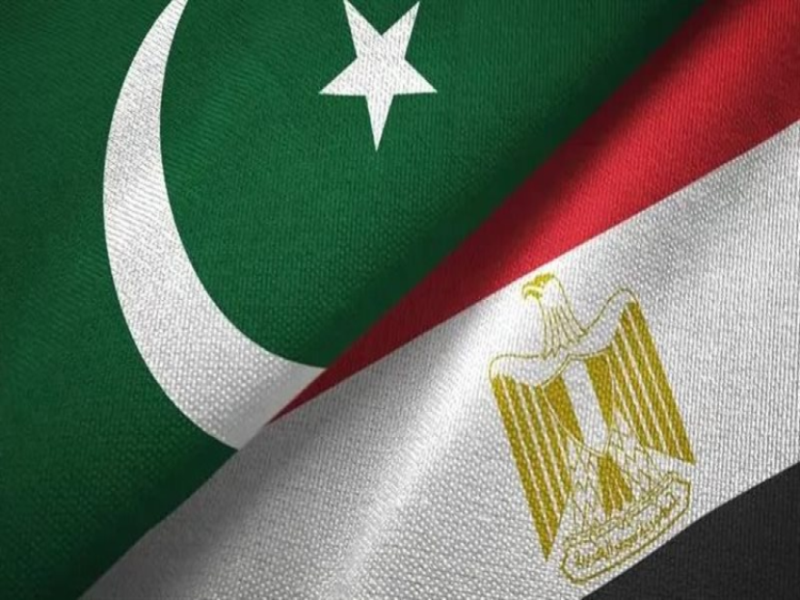 مصر وباكستان تؤكدان أهمية العودة لتنفيذ الاتفاق الموقت لإنهاء حرب إيران