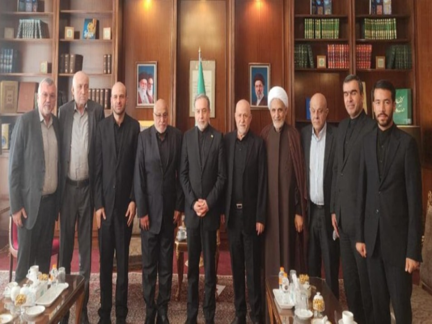 عراقجي استقبل وفد 