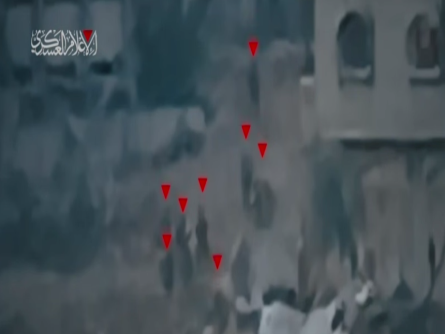 بالفيديو: 